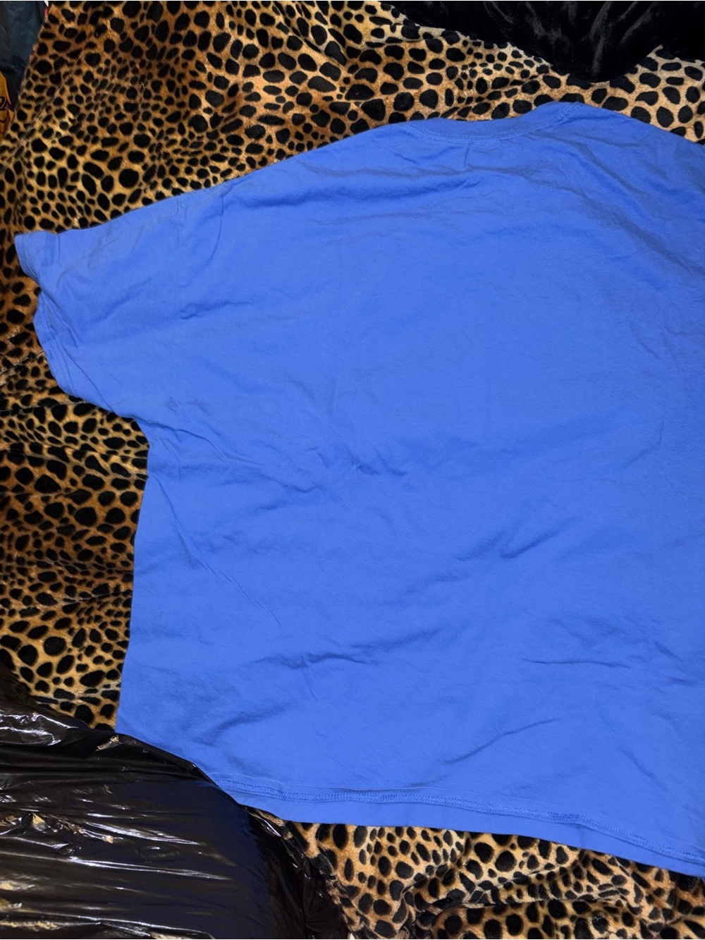 Shirt - Picture 6 of 7